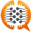 BrainSINS logo