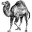 Perl logo